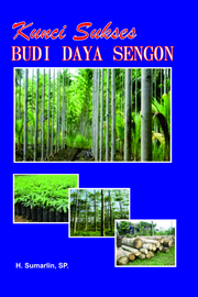 Kunci Sukses Budidaya Sengon