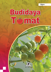 Budidaya Tomat