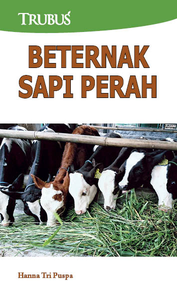 Beternak Sapi Perah