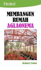 Membangun Rumah Aglaonema