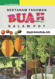 Bertanam Tanaman Buah dalam Pot